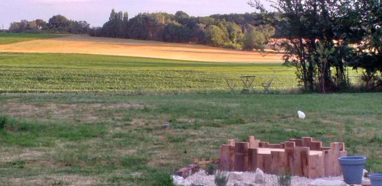 La Berrycurienne Proche Du Zoo De Beauval Saint-Aignan Avec Sdb, Wc Et Spa Privatif Pour Chaque Chambre Luçay-le-Mâle Екстериор снимка